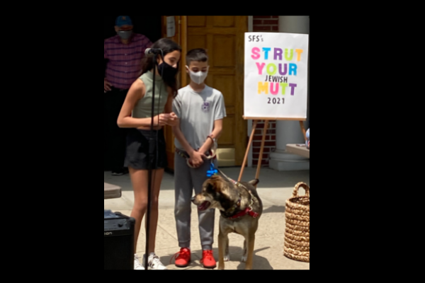 Strut Your Jewish Mutt Sinai Free Synagogue