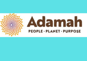 Adamah logo for website with color