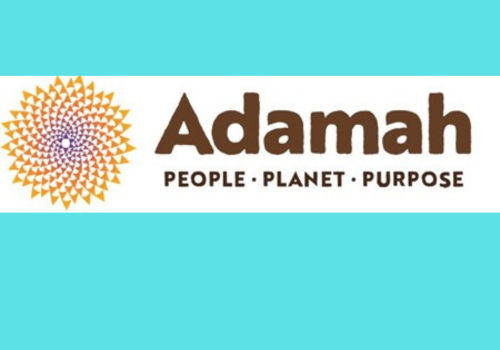 Adamah logo for website with color